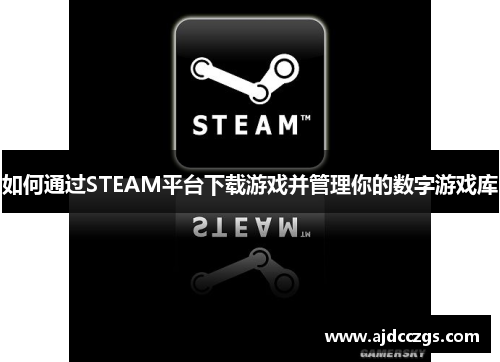 如何通过STEAM平台下载游戏并管理你的数字游戏库