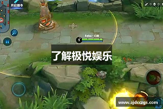 了解极悦娱乐
